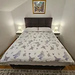 Kola Banići