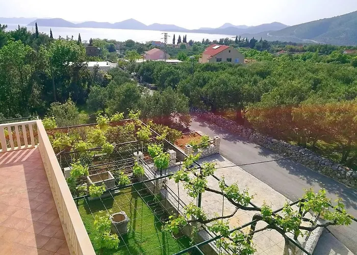 Kola * Banići